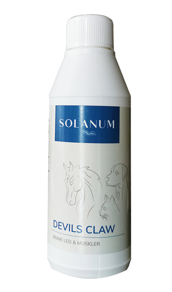 Solanum_Devils_Claw_hest