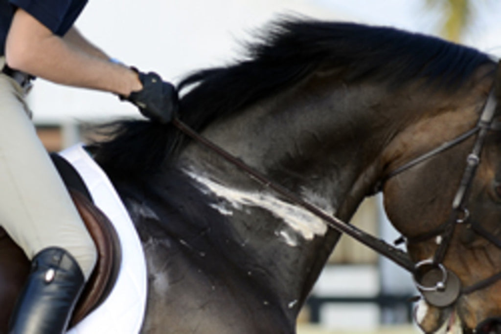 Hvorfor skal hesten have elektrolytter og hvorfor er de så vigtige?