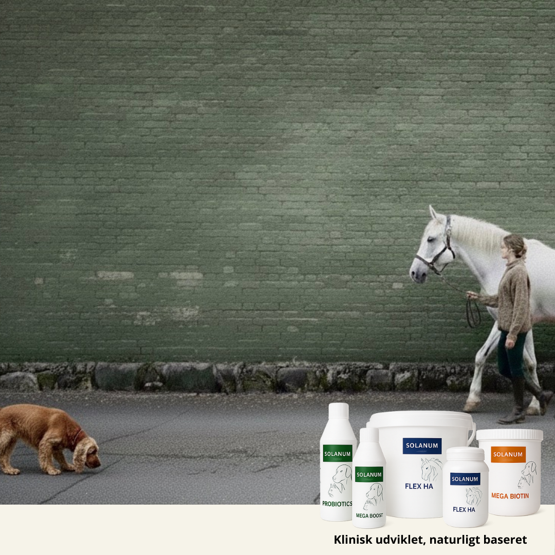 Naturlige pleje- og tilskudsprodukter til hest, hund og kat