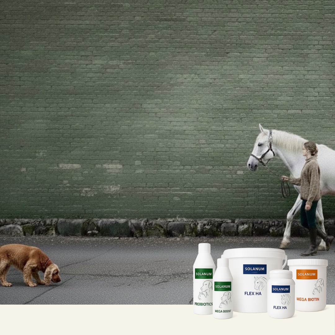 Naturlige pleje- og tilskudsprodukter til hest, hund og kat