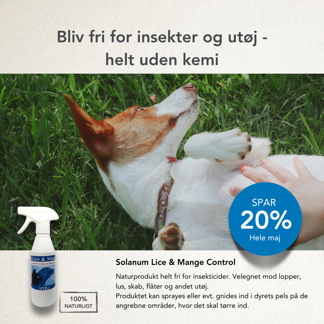 Slide-billede