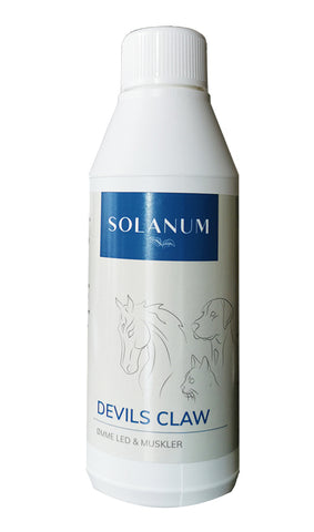 Solanum_Devils_ClawHund_Kat